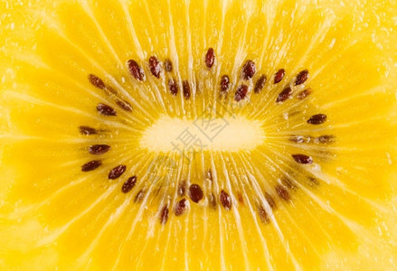 在金子的果实里营养热带种子图片
