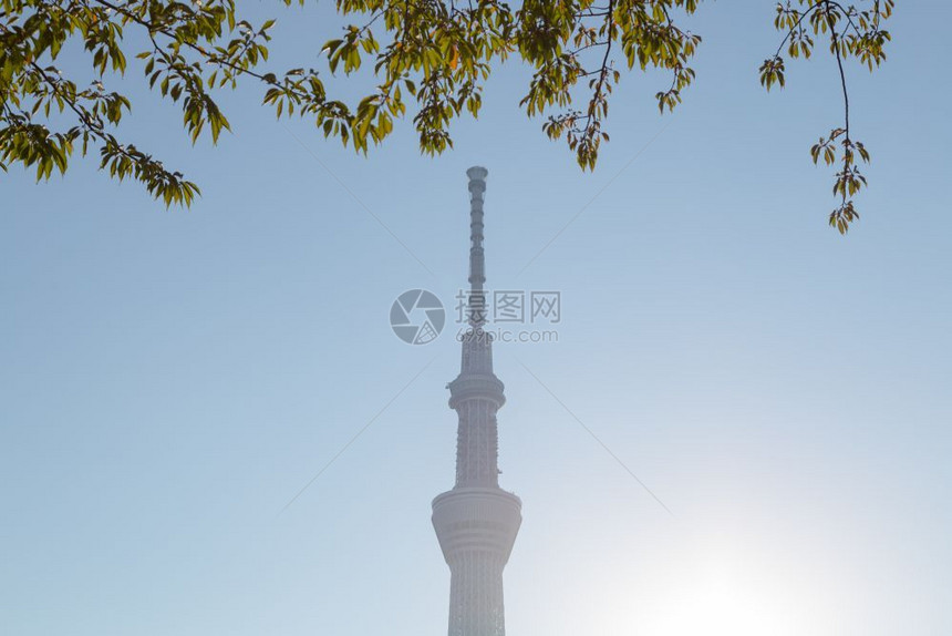 季节地标东京天空树在公园摩大楼东京空树的下在白天日本东京2016年月4日亚洲图片