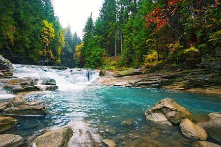 森林的小溪瀑布图片