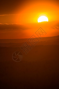 太阳的橙色圆盘日落时沉入地平线场景松树阳光图片