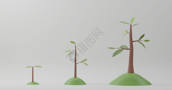 图表年轻的3D以白色背景显示的树生长图阶段植物生长演变概念T白色的图片
