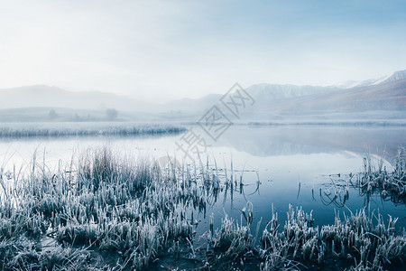 场地景观寒冷的湖镜边水草上霜在边的草地上早晨高清图片素材