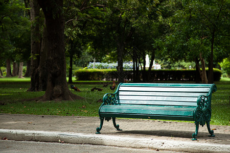 坐在公园的座椅上在公园内路人行道上的沙迪树和放松老的车道图片