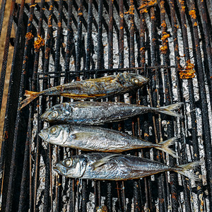 烤架上的咸鲭鱼特写架上的鲭鱼特写煮熟的午餐鱼片远洋的高清图片素材