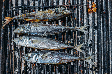 海烤架上的咸鲭鱼特写架上的鲭鱼特写烹饪食物新鲜的高清图片素材