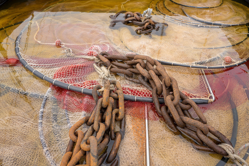 丰富多彩的在荷兰乌尔克用一个装乙酸和水的集箱清洗渔网一种鱼图片