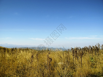 黄色的地面白天高加索景观和秋天自然日光全景图片