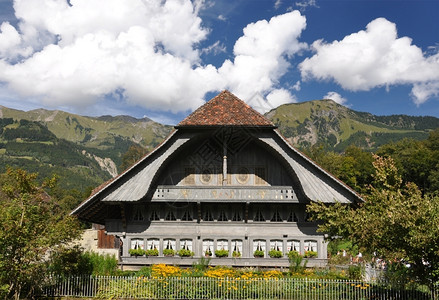 屋顶花传统的瑞士住房瑞士人图片