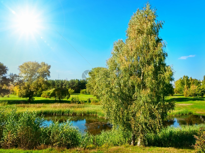景观春天夏季风绿色公园和蓝天上的池塘自然图片