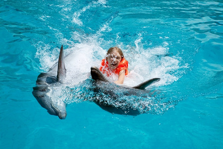 小女孩与海豚一起游泳图片