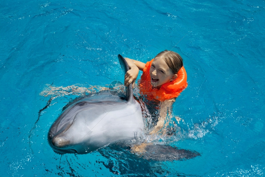 女孩与海豚一起游泳图片