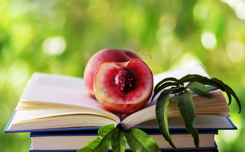 备忘录文素材目的一半桃子在公开的书本中学校文背景