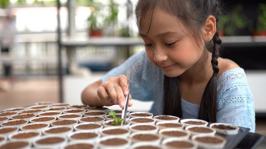 种植植物的小女孩图片