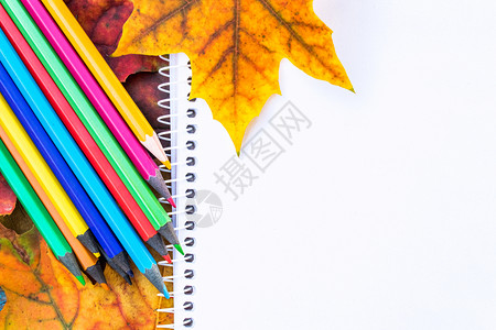 秋季枫叶和彩色铅笔背景图片