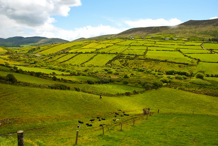 谷旅游美丽的爱尔兰乡村翠绿的田野和草地外部图片