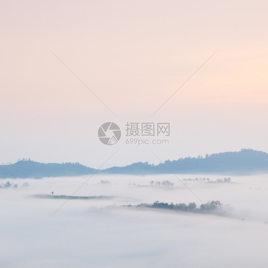 风景森林寒冷的清晨雾笼罩山岳和树木太阳升起早晨图片