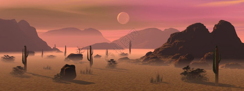 晨光和传输线夜晚月光叶子以亮雾仙人掌植物和山丘为照亮的晨光沙漠景观在中清晨3D转化设计图片