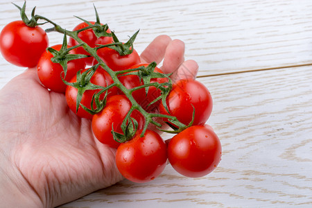 生态的花园吃手握着一连串红熟的美味樱桃番茄图片