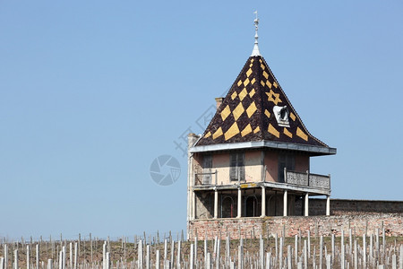 法国博乔莱斯波蒂尔埃城堡花园塔楼建造发泄博若莱图片
