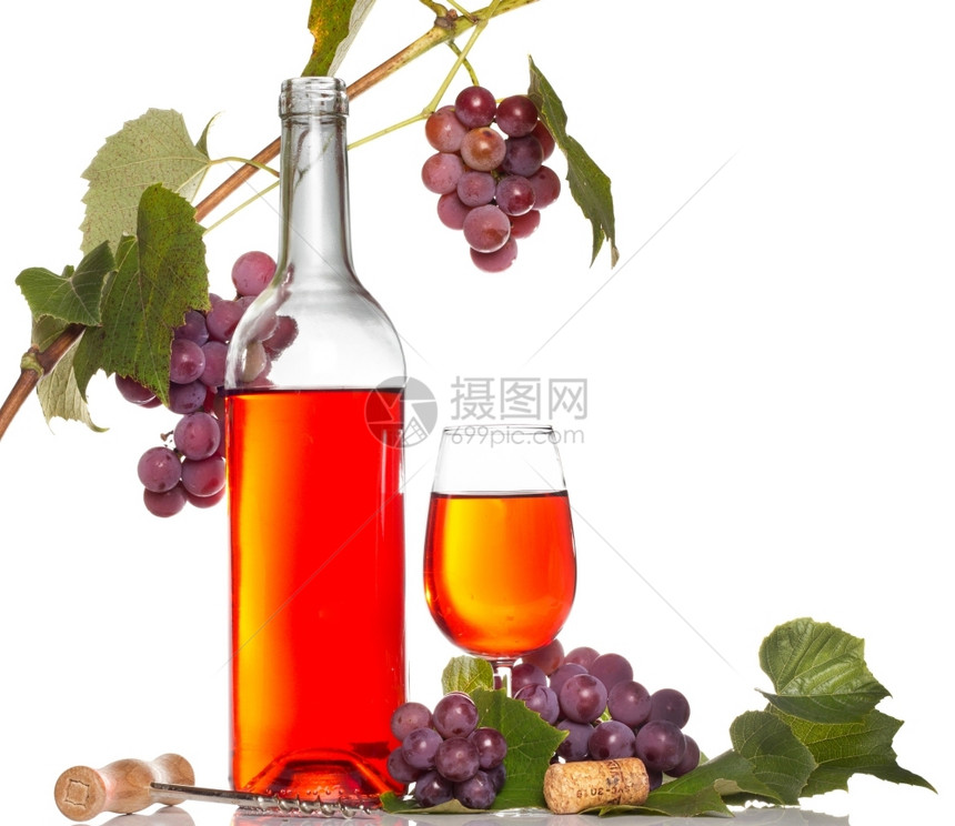 紫色的静物红葡萄枝白边被隔绝健康图片