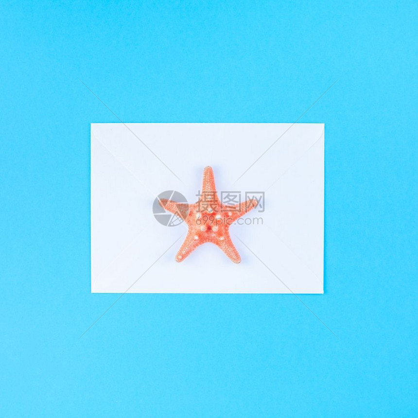 白色的海底蓝背景壳和星的顶层视图明信片以最起码的风格文本模板拟并复制空间一海贝壳和星在绿蓝背景上观看海雀和星用明信片制作假并以最图片