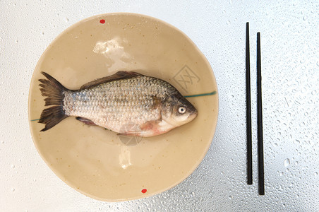 动物市场木板上的新克鲁西安河白鱼高清图片素材