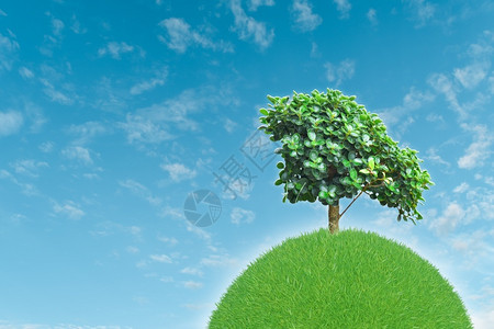 生态圆形的绿色星球覆盖了青草树上长着蓝天空背景世界图片