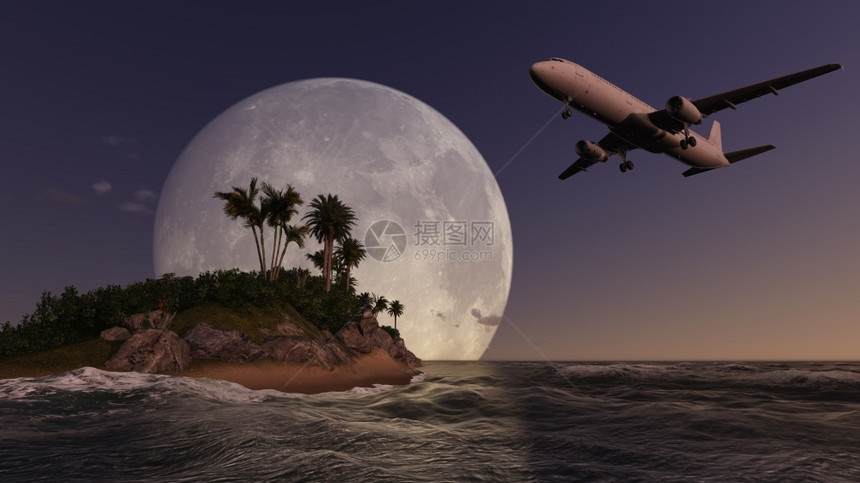 客机天空飞越3D软件制成的棕榈树离开图片