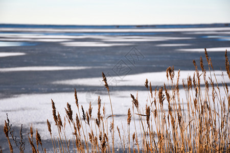 水干燥冰上有型态的河沿岸干枯了死的图片