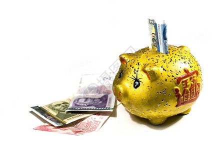 货币银行业黄小猪用白纸上孤立的金钱账单图片
