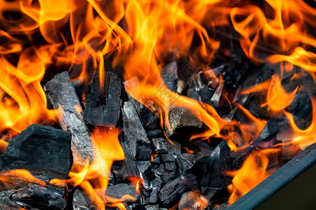 烧火的木炭图片