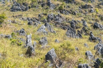 绿树和石块在山地景观中的位置垃圾摇滚自然公园图片