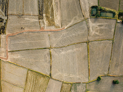 热带准备种植大米无人机摄影的一幅大型农业用地的空中图片准备收成图片
