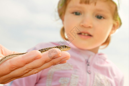 爬虫婴儿小女孩看着成人手上的蜥蜴在惊叹中不已愕图片