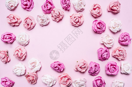 天假期粉红背景最上视图的多色玫瑰线条框关闭文字架的位置白色图片