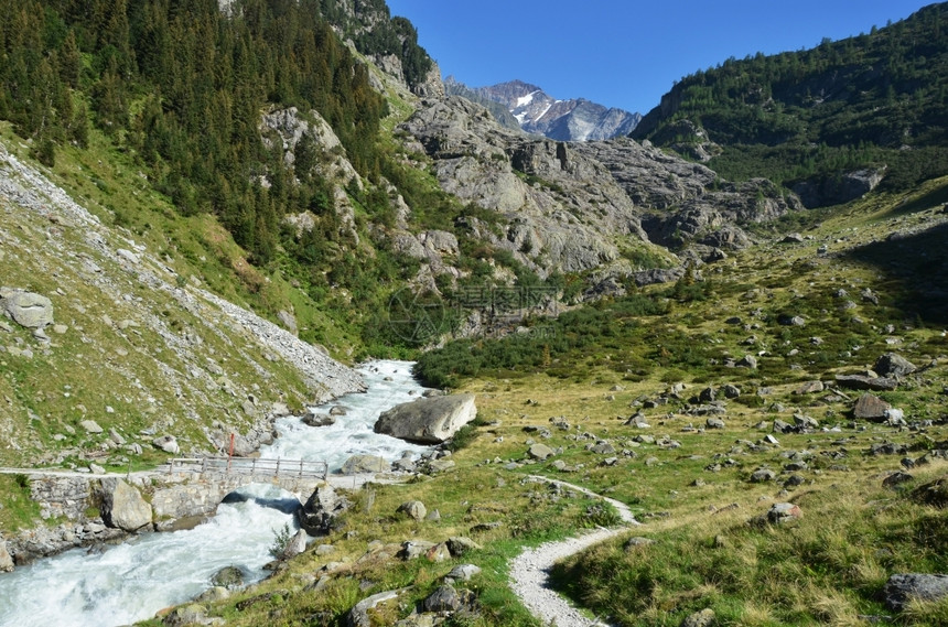 欧洲的阿尔卑斯山来自瑞士特里夫冰川的山河流森林图片