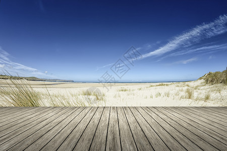 美丽海滩旅行浅和地上木制码头的景象图片