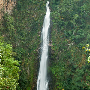 岩石植物瀑布流下悬崖高的瀑布从山上向悬崖流下美丽的图片