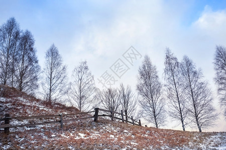 冬天松树明日太阳下山丘上的枯草和栅栏山丘上的草和篱笆明亮图片