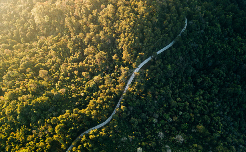 景观穿过绿色荒原和山丘的农村公路最顶端景色曲线目的地图片