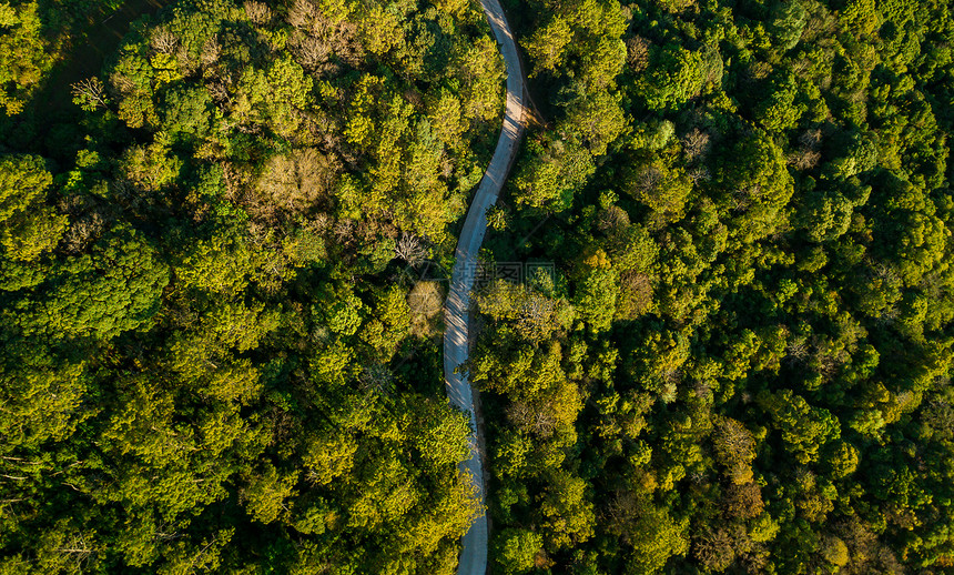 小路穿过绿色荒原和山丘的农村公路最顶端景色沥青鸟眼图片