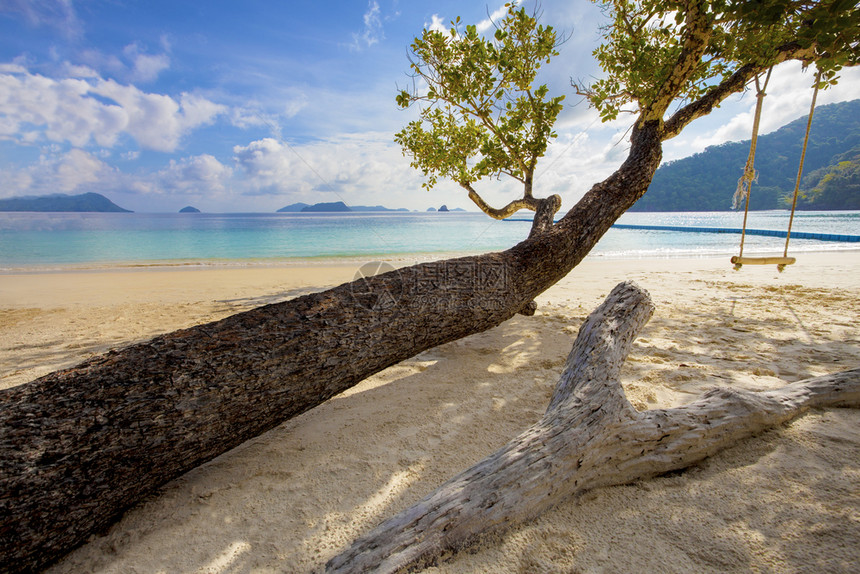 安达曼树叶热带岛屿和海滨的美丽自然景象目的地图片