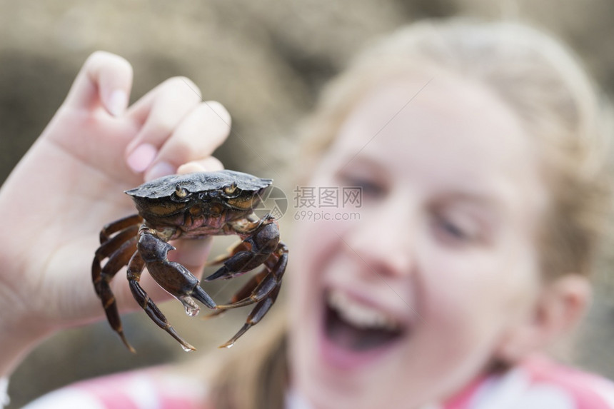 微笑在海滩上岩池发现的年轻女孩抱螃蟹好奇勘探图片