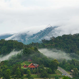 森林村庄笼罩着薄雾图片