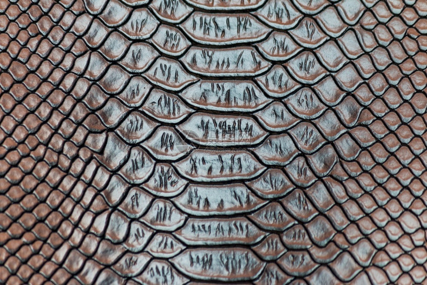 brow蛇皮图案纹理背景牛皮自然纺织品图片