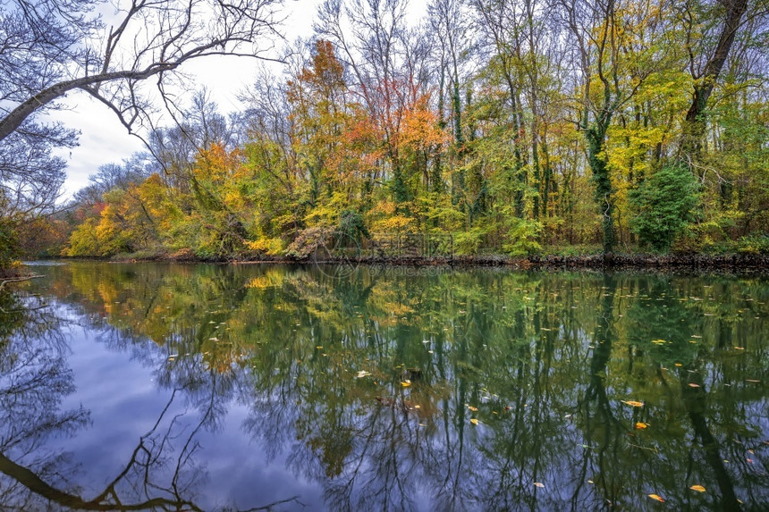 反射红色的乡村令人惊叹秋天景象在一片森林中的条河流典型黄色的秋天颜图片