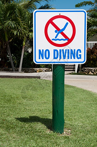 户外夏天法规草热带度假胜地上没有带棕榈树的潜水标志图片