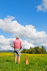蒲公英长老豪华轿车者与狗一起坐在风景中图片