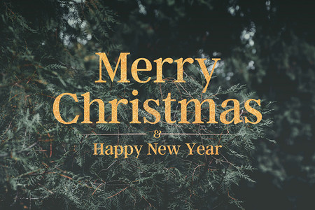 错字绿色松树节庆贺卡上新年的打字闪亮短信圣诞快乐和新年微光白色的刻字设计图片