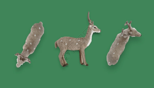 雪一套鹿圣诞装饰品手十二月图片